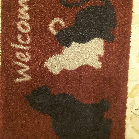 Sandra 아파트 캄포로소